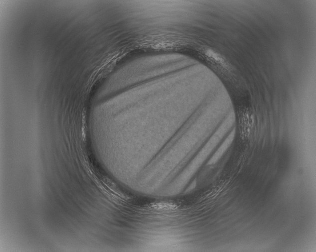 X0000052980644200508051042