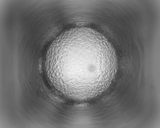 X0000052980646200508051042