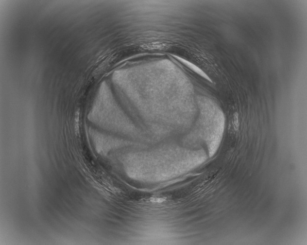 X0000052980647200508051042