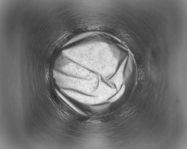 X0000052980648200508051042