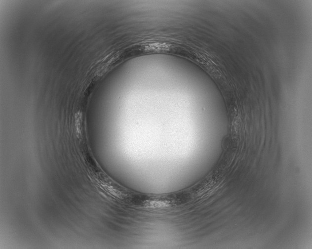 X0000052980649200508051042