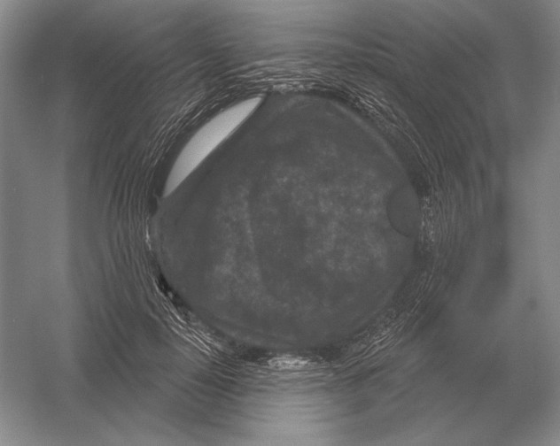 X0000052980650200508051042