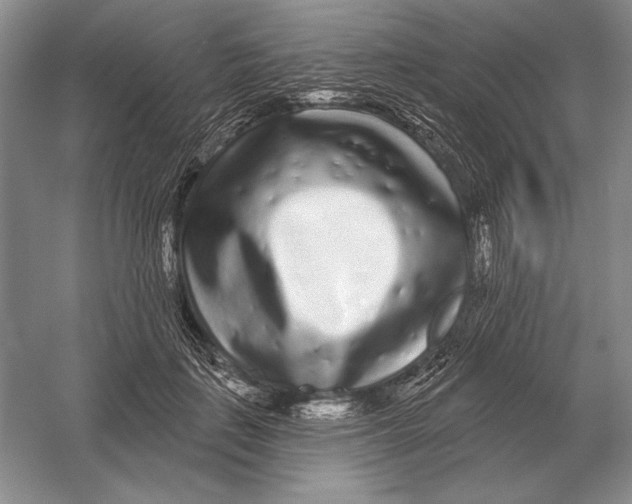 X0000052980651200508051042