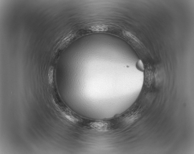 X0000052980652200508051042