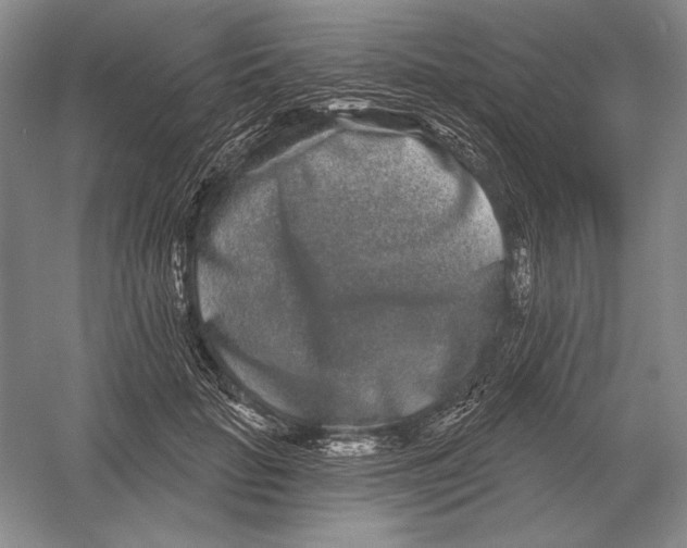 X0000052980653200508051042