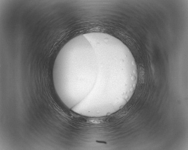 X0000052980654200508051042