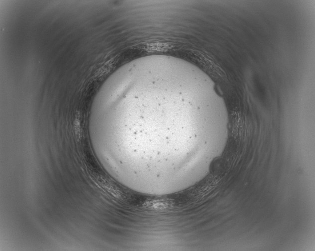 X0000052980655200508051042