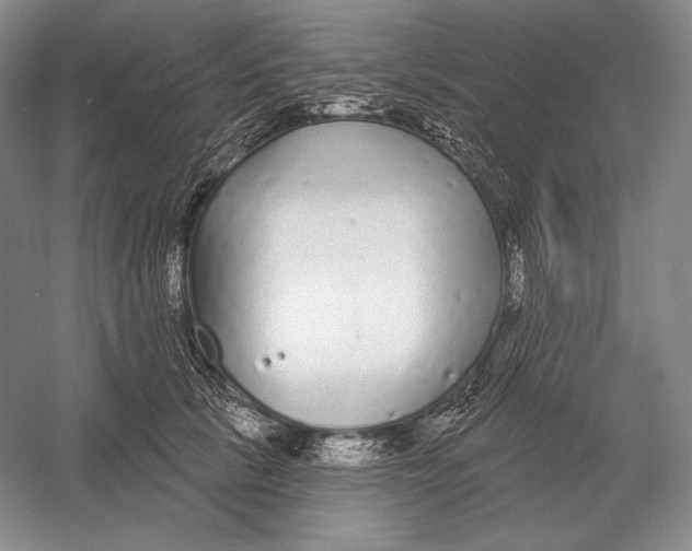 X0000052980657200508051042