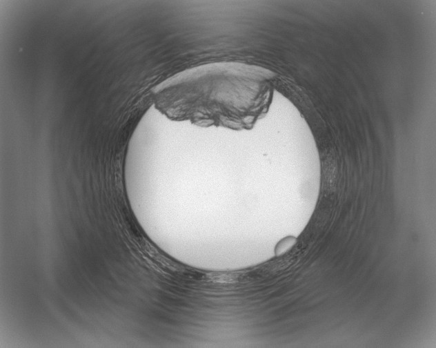 X0000052980658200508051042