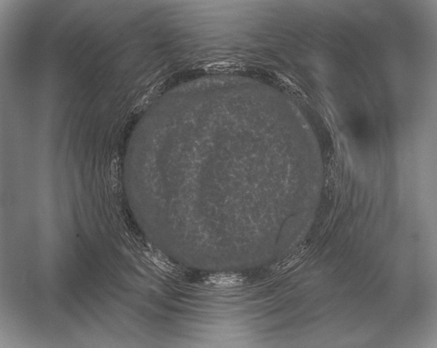 X0000052980659200508051042