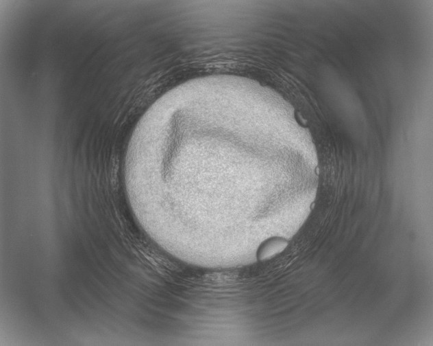 X0000052980660200508051042