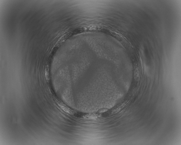 X0000052980661200508051042