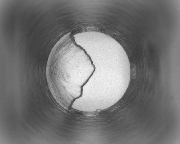 X0000052980662200508051042