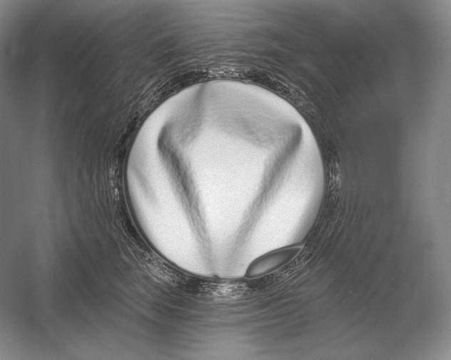 X0000052980663200508051042