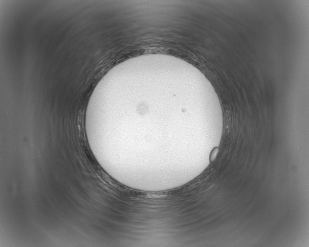 X0000052980664200508051042