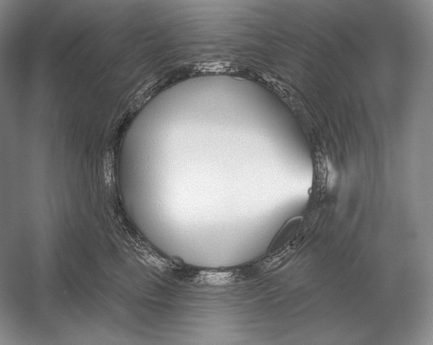 X0000052980665200508051042