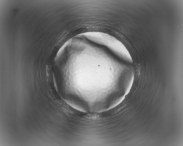 X0000052980667200508051042