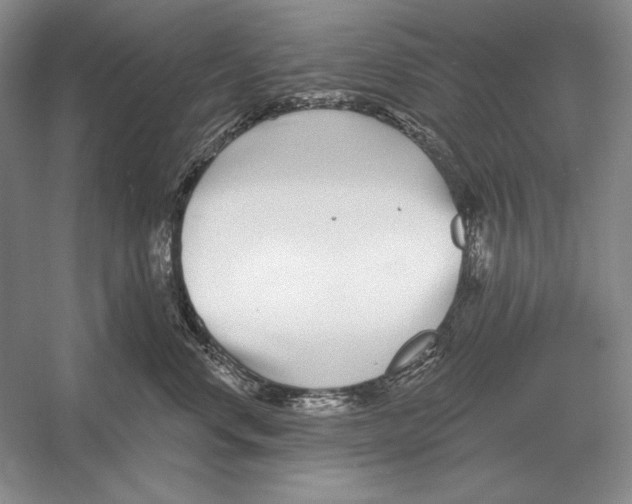 X0000052980668200508051042