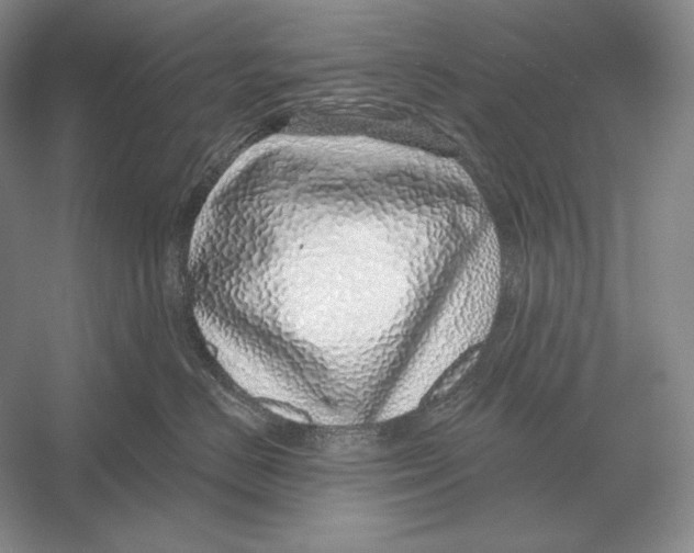 X0000052980670200508051042