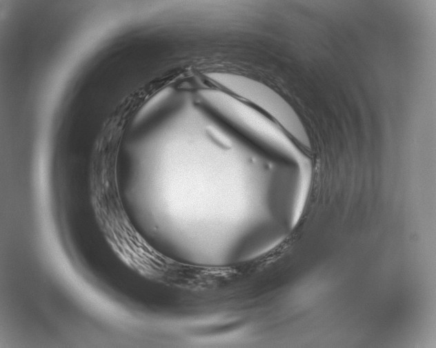 X0000052980671200508051042