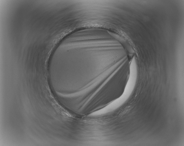 X0000052980673200508051041