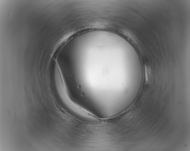 X0000052980675200508051041