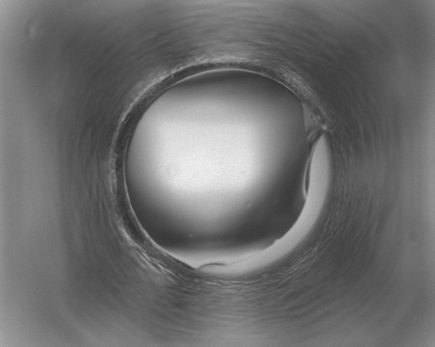 X0000052980676200508051041