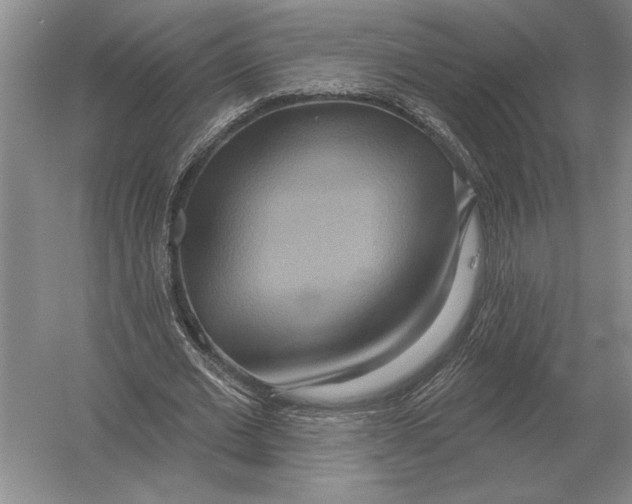 X0000052980677200508051041