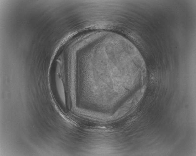 X0000052980678200508051041