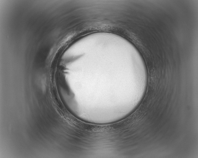 X0000052980679200508051041