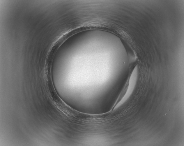 X0000052980680200508051041