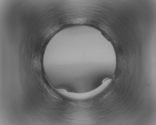 X0000052980681200508051041