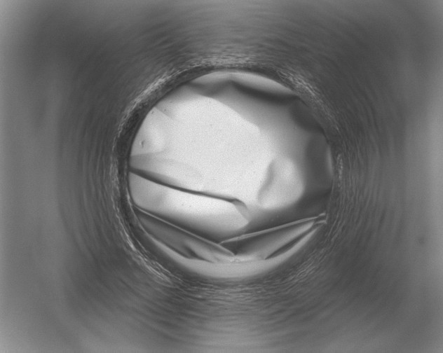 X0000052980684200508051041