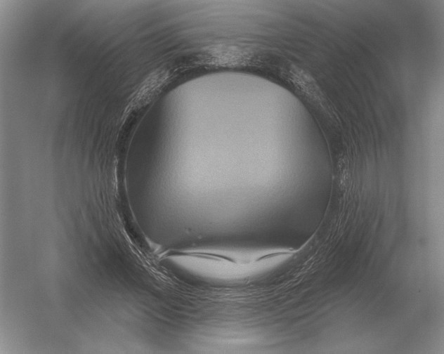 X0000052980685200508051041