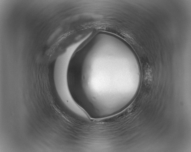 X0000052980687200508051041