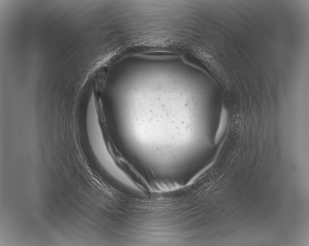 X0000052980688200508051041