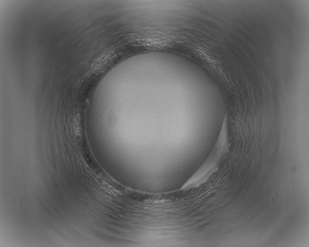 X0000052980689200508051041