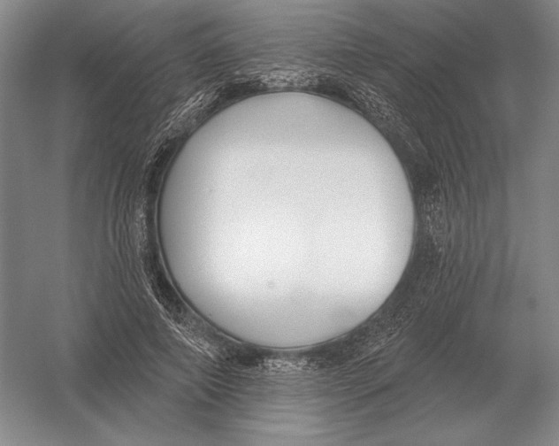 X0000052980690200508051041