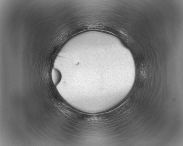 X0000052980691200508051041