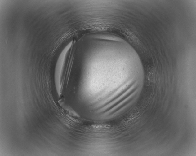 X0000052980693200508051041