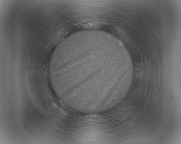 X0000052980695200508051041