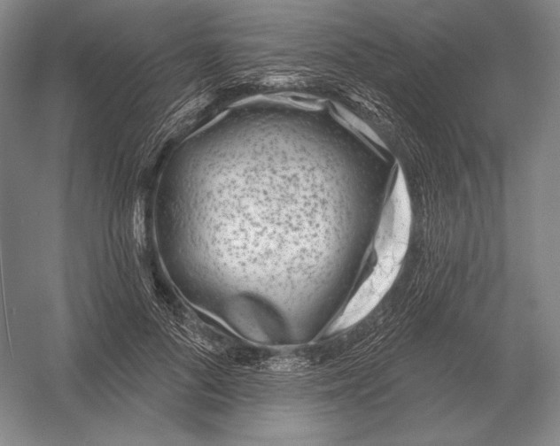 X0000052980696200508051041