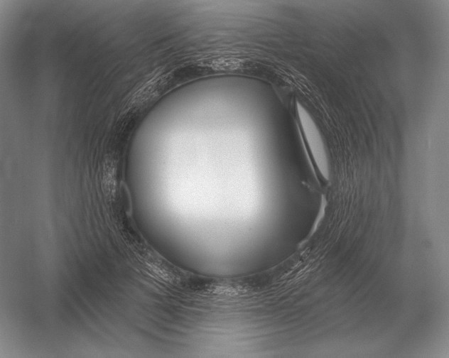 X0000052980697200508051041