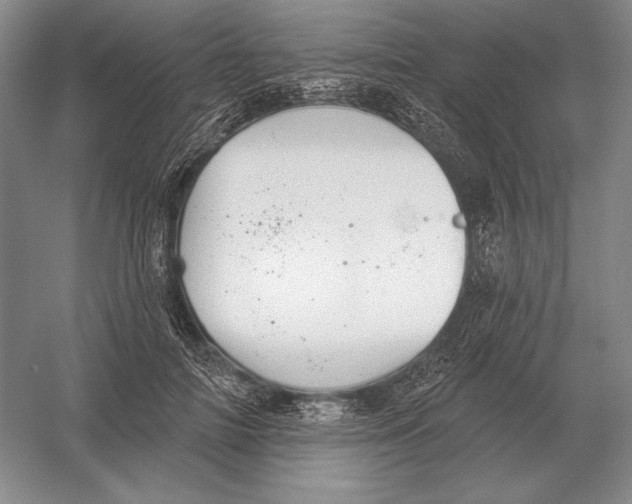 X0000052980698200508051041