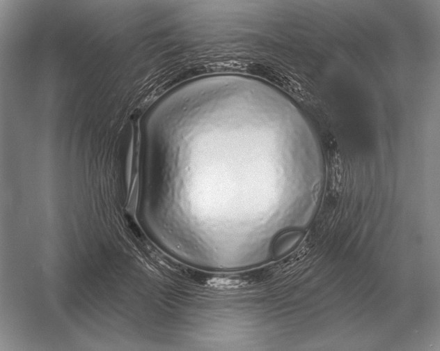 X0000052980699200508051041