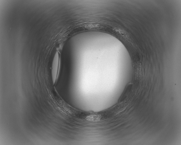 X0000052980700200508051041