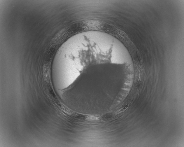 X0000052980701200508051041