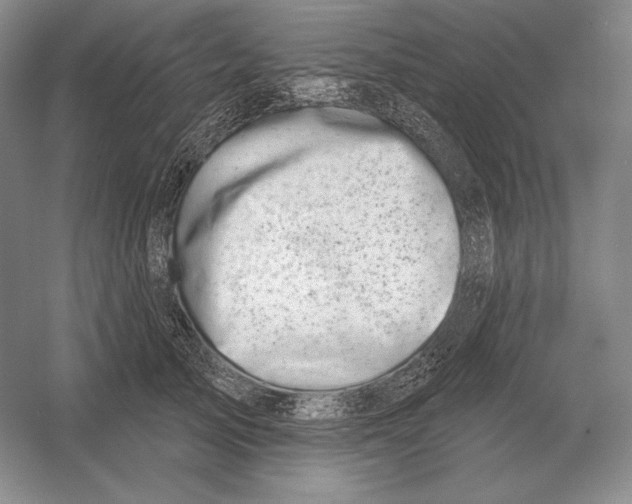 X0000052980705200508051041