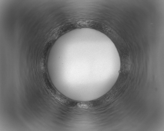 X0000052980706200508051041