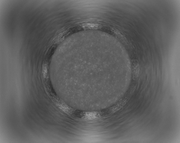 X0000052980709200508051041